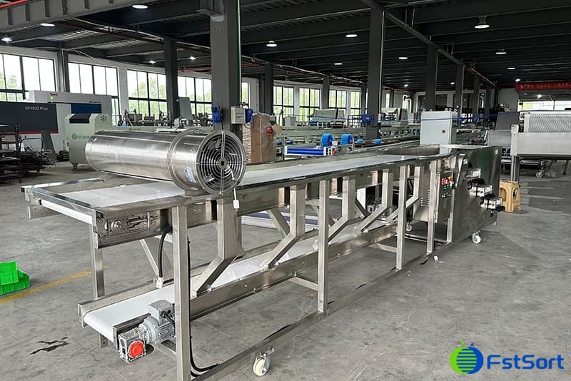 images/1706258003415clasificadora de arándanos.jpg